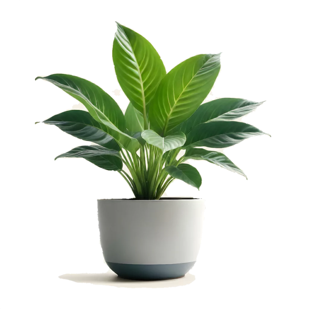 Low maintenance indoor plant in modern white pot for healthy home and air purification, easy care houseplant ideal for beginners, stress relief, and natural home décor. Perfect for promoting wellness and effortless freshness in any indoor space by AI Artz